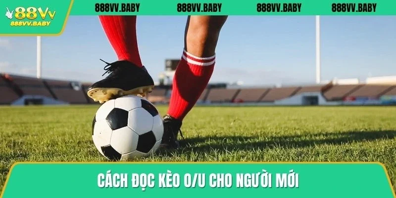 Cách đọc kèo O/U cho người mới