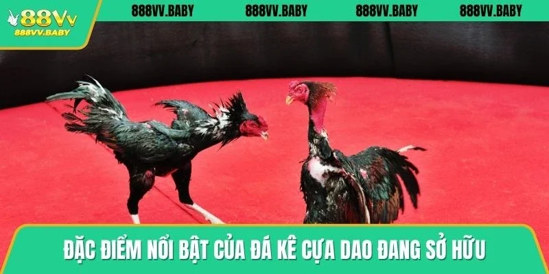 Đặc điểm nổi bật của đá kê cựa dao đang sở hữu